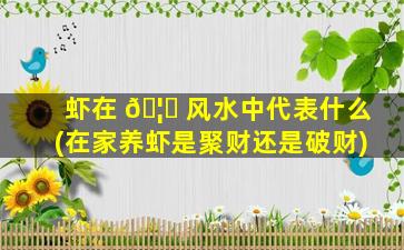 虾在 🦄 风水中代表什么(在家养虾是聚财还是破财)